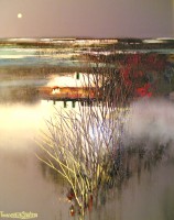 /album/galleria-/a64-campagna-brianzola-jpg/